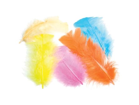 Selection of Short Feathers 