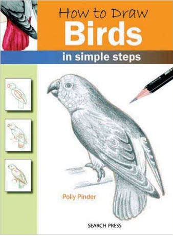How to draw: Birds